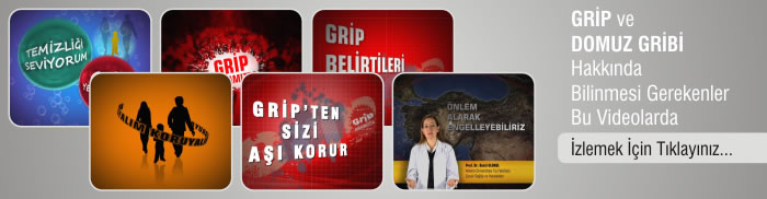 Grip ve Domuz Gribi Hakk�nda Bilinmesi Gerekenler Bu Videolarda