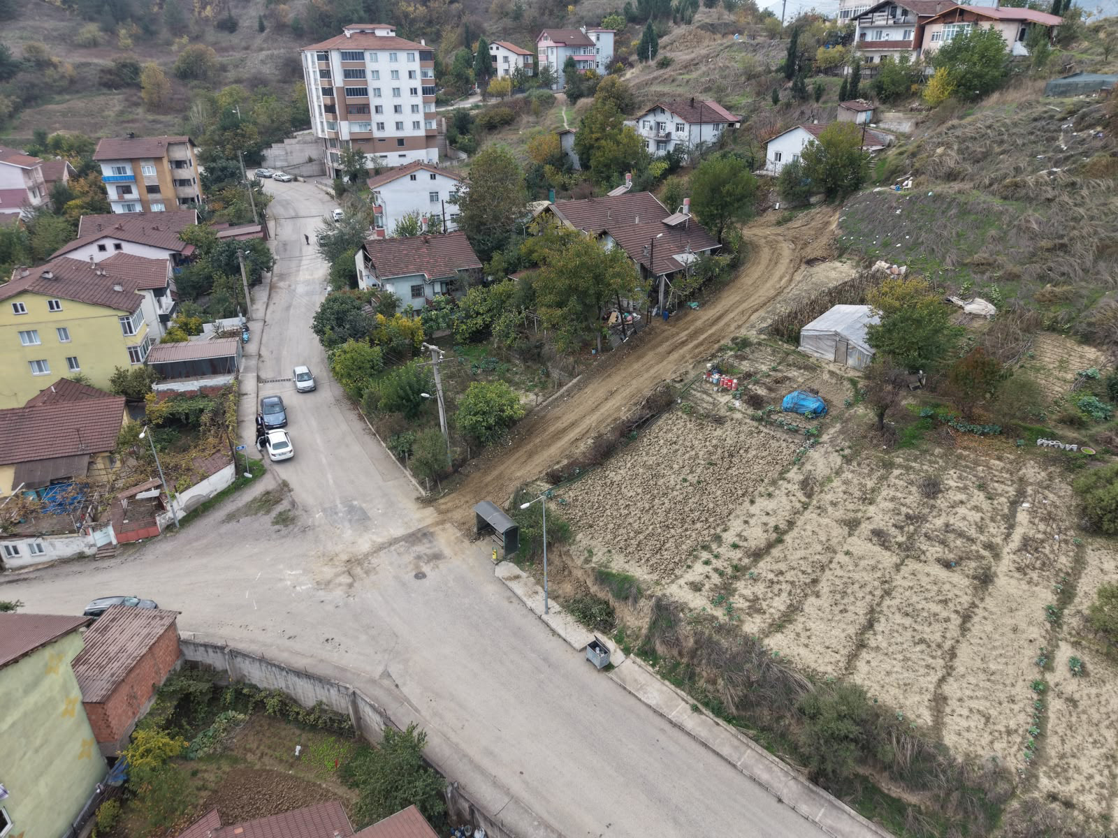 Fotoğraf 1
