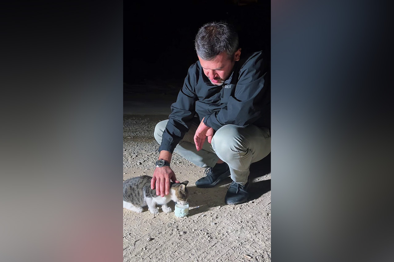 Merhamet, Tüm Canlılara Uzanan Bir Gönül Meselesidir