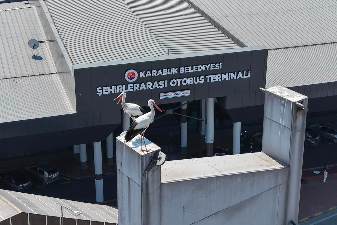 Leylek Ailesinin de Huzuru Bize Emanet