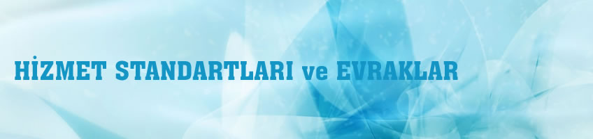 Hizmet Standartları Tablosu ve Gerekli Formlar