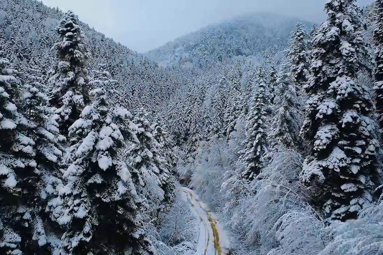 Biz Bu Vatana Aşık Olan İnsanlarız, Çok Güzelsin Karabük
